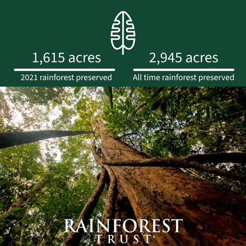 1,615 acres of rainforest preserved in 2021