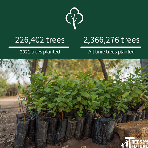 226,402 trees planted in 2021